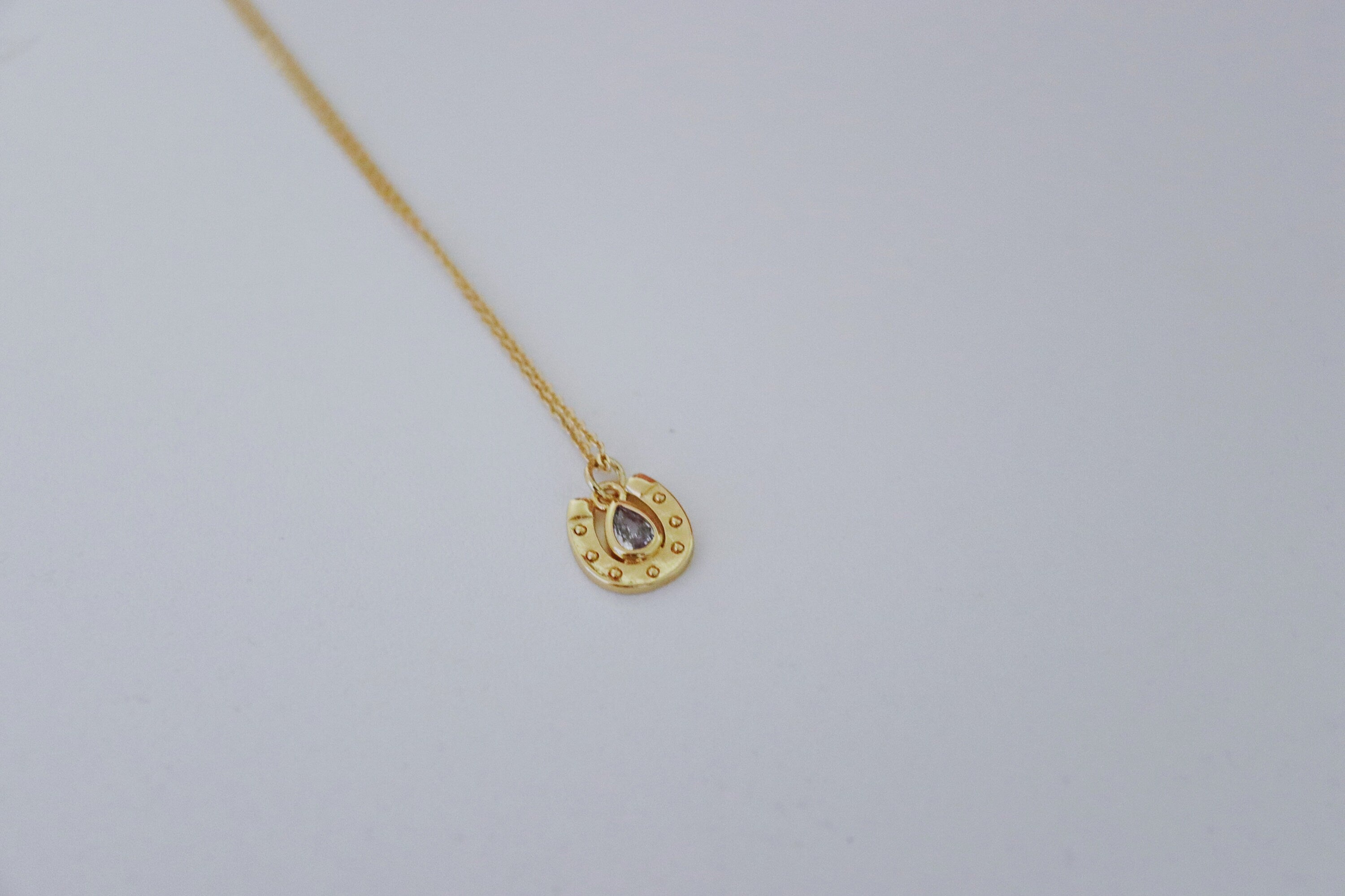 close up shot horse shoe necklace with gem